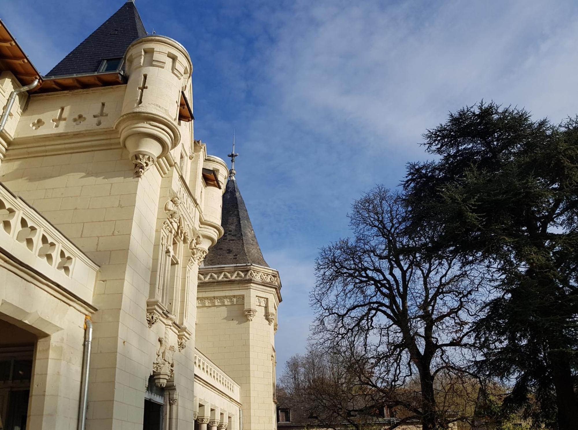 Chateau De Salvert - 4 Gites - 32 Personnes Neuillé Esterno foto